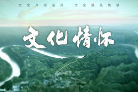 新华社纪录片《文化情怀》