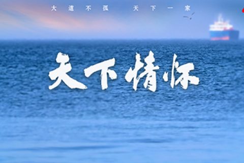 新华社纪录片《天下情怀》